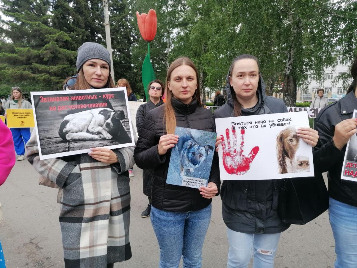 В Барнауле прошел митинг против эвтаназии собак | 05.06.2024 | Барнаул -  БезФормата